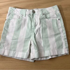 Hanitual Girl  Stripe Shorts Size 10